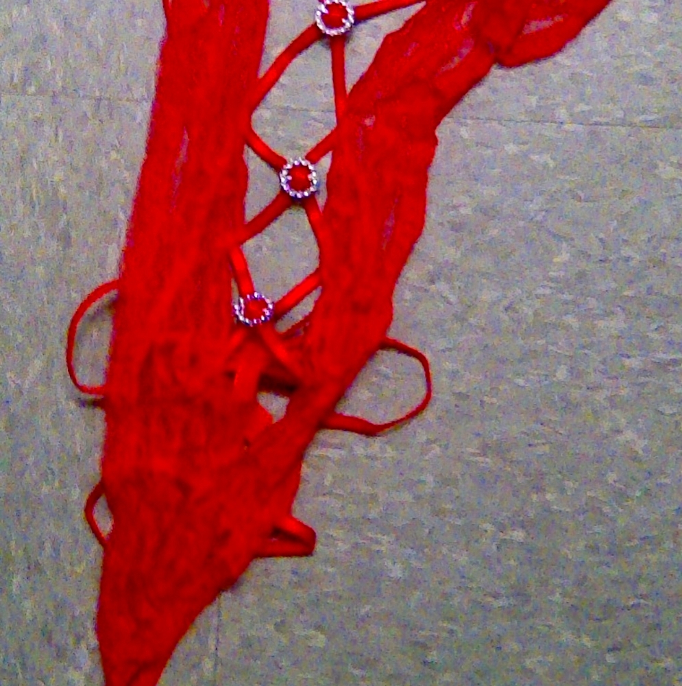 BNWOT 1 piece lingerie
